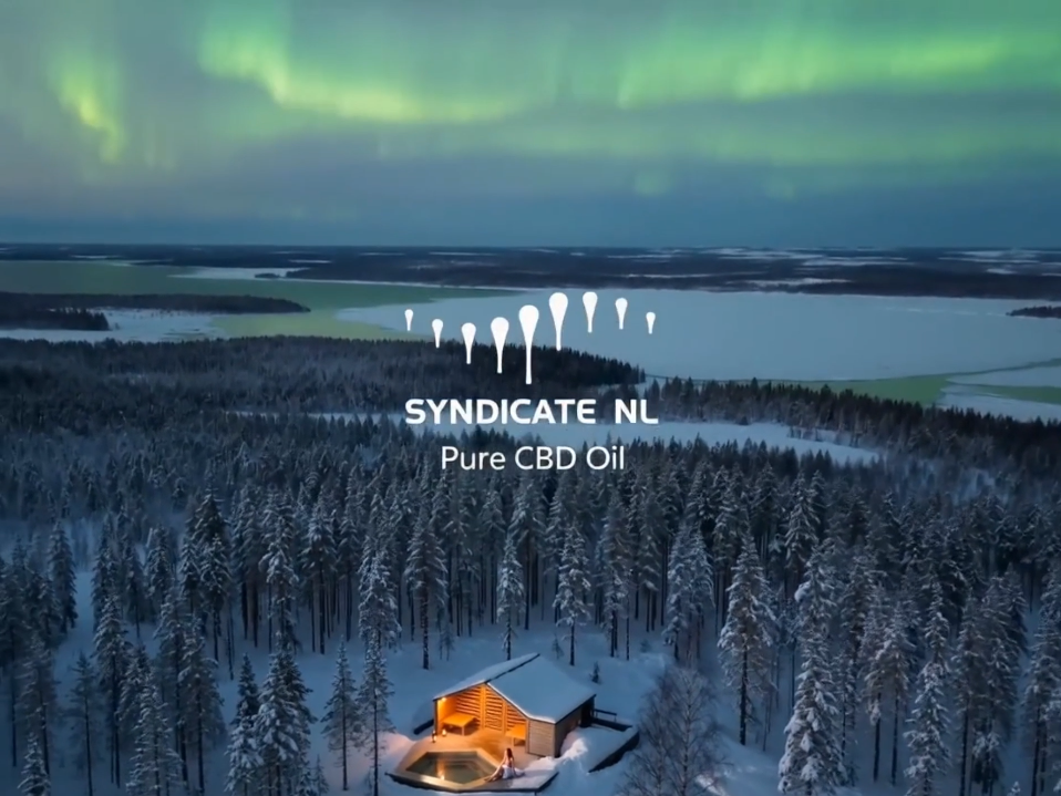 Syndicate NL-CBD Oil